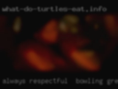 Always respectful & loves Bowling Green, MO spoiling.