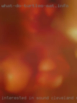 Interested in Cleveland need sex sound genuine people.